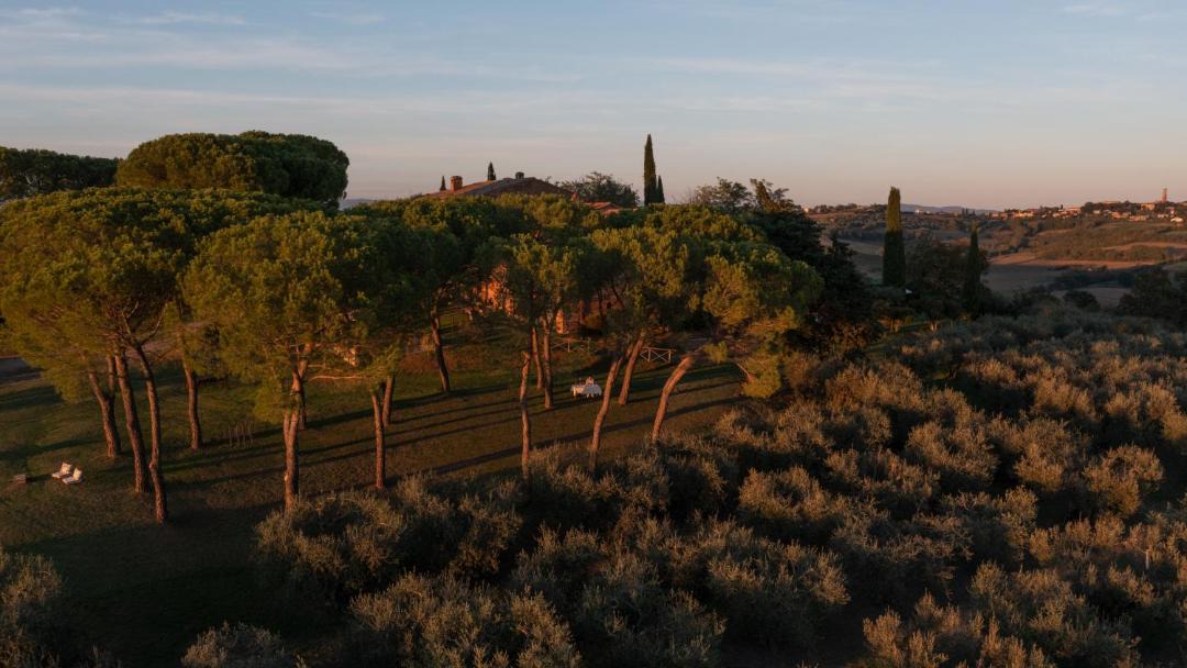 Photo of Others in Castiglione del Lago