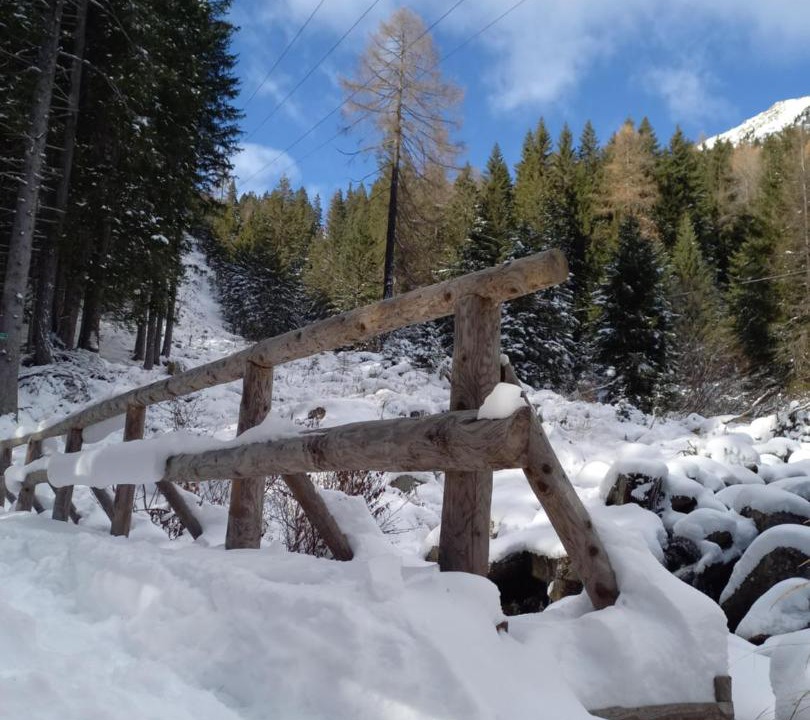 Photo of Others in Caderzone Terme