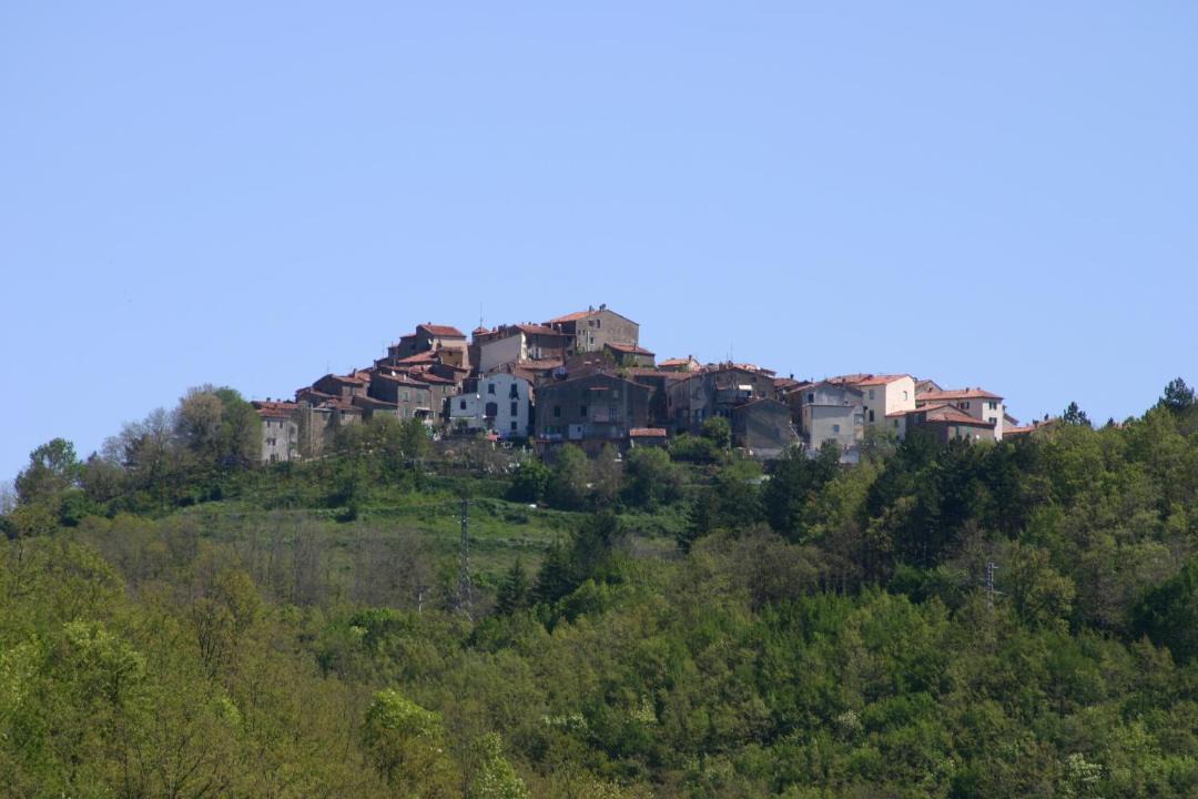Photo of Others in Montieri