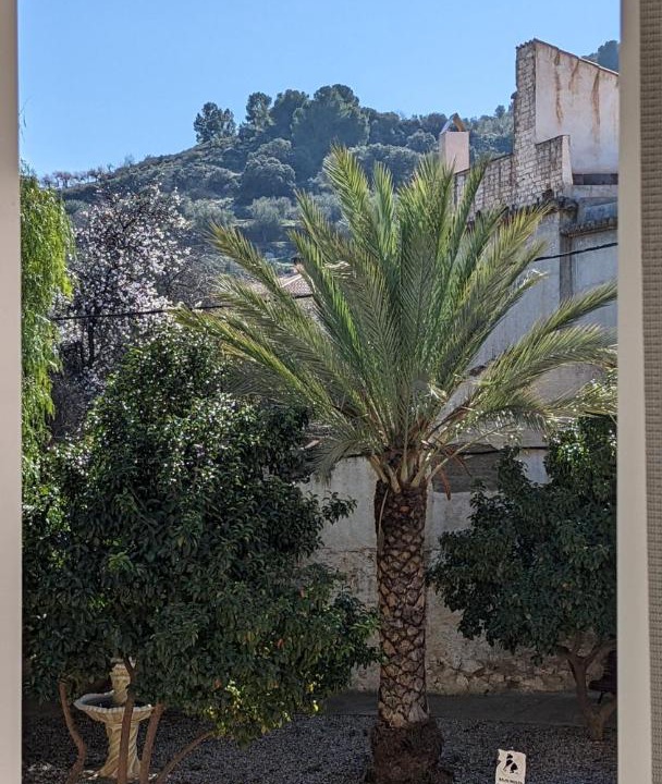 Photo of Patio Balcony in Pinos del Valle