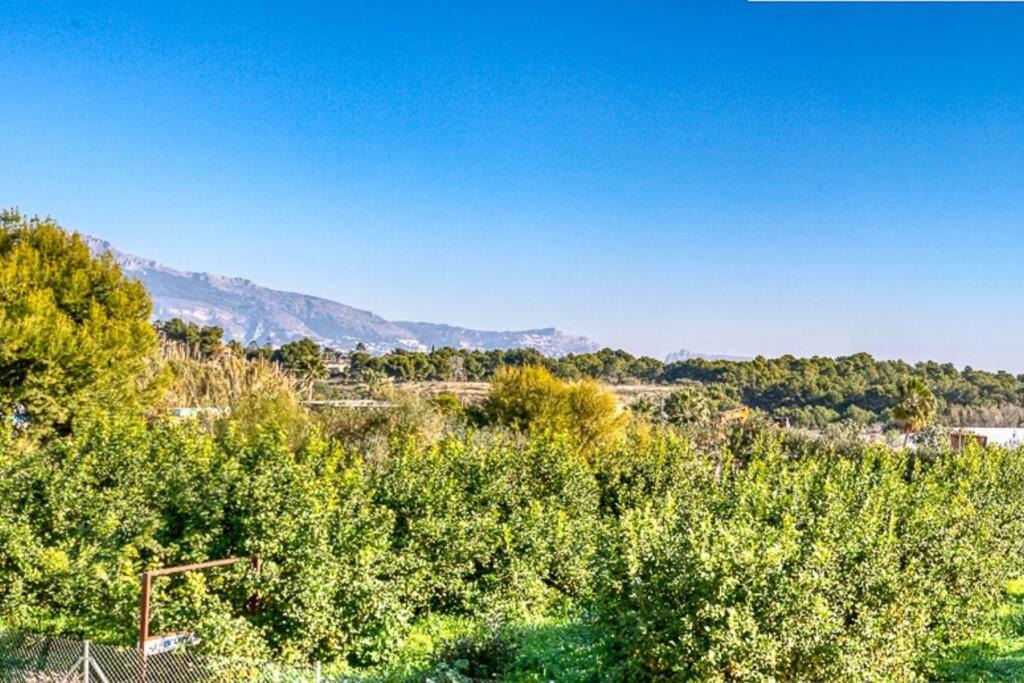 Photo of Outdoor in L'Alfas del Pi