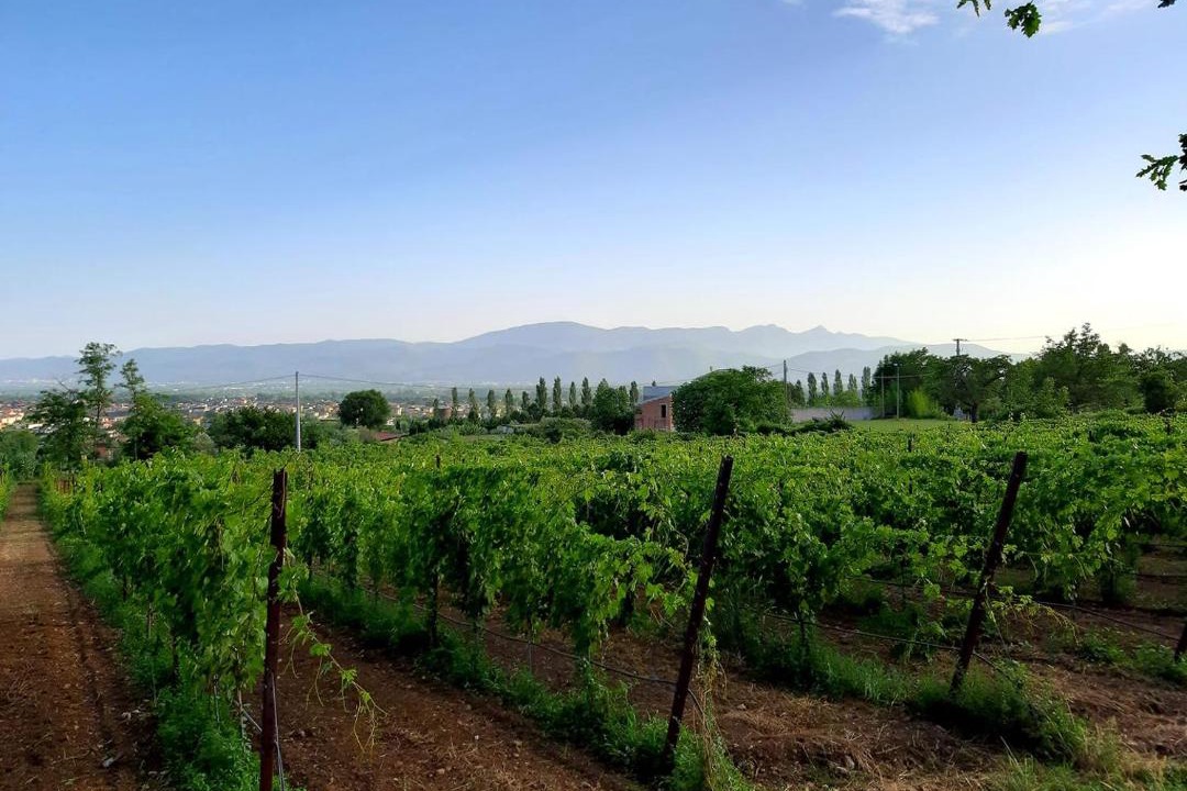 Photo of Outdoor in Gioia Sannitica