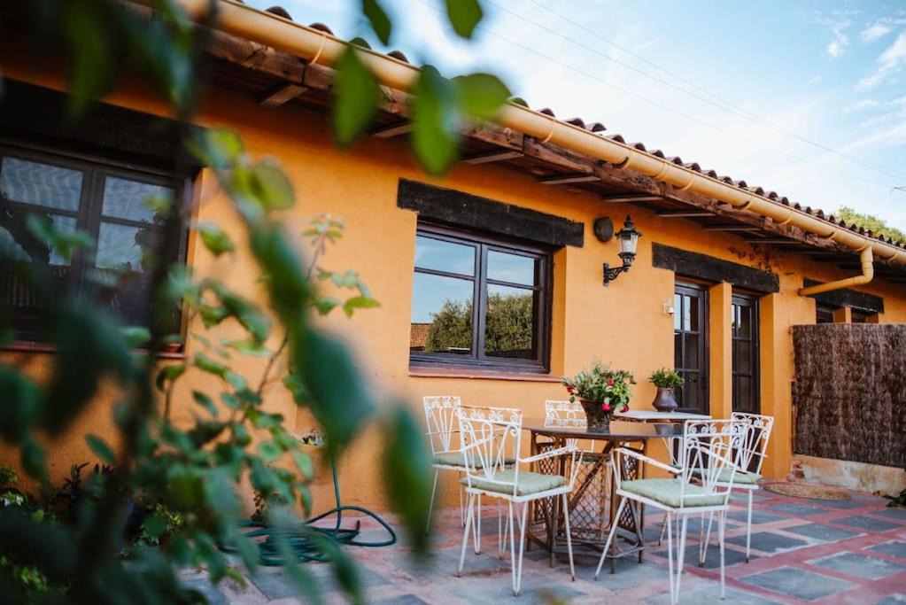 Photo of Patio Balcony in Tordera