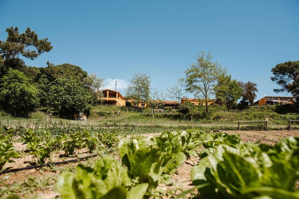 Photo of Others in Tordera