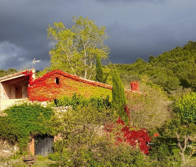 Photo of Others in Sant Llorenc Savall