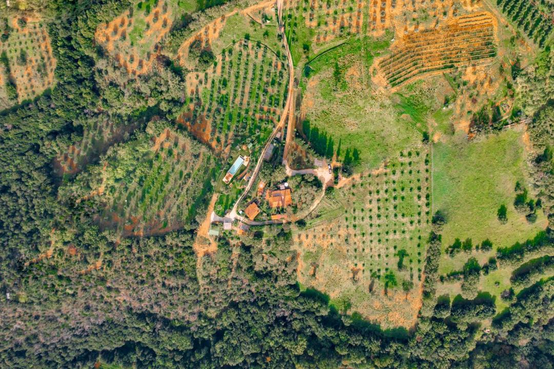 Photo of Outdoor in Pancole