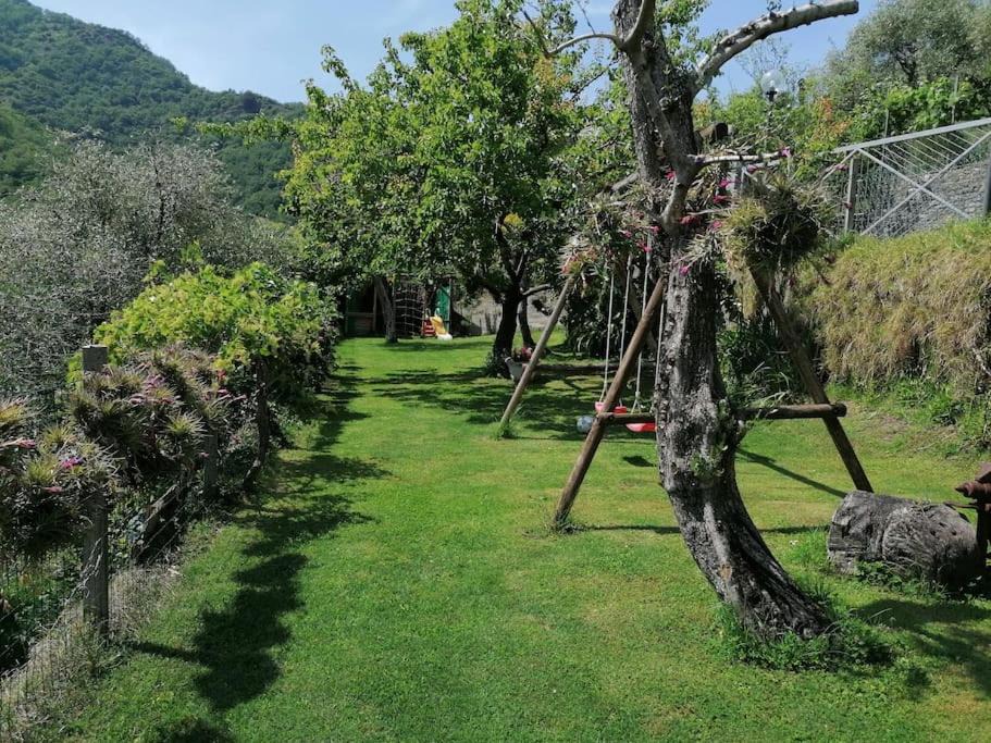 Photo of Outdoor in Avegno