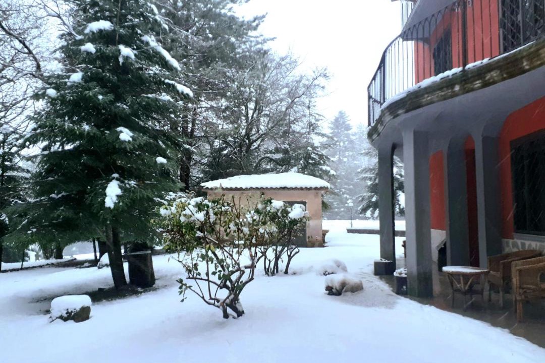 Photo of Buildings in Morano Calabro