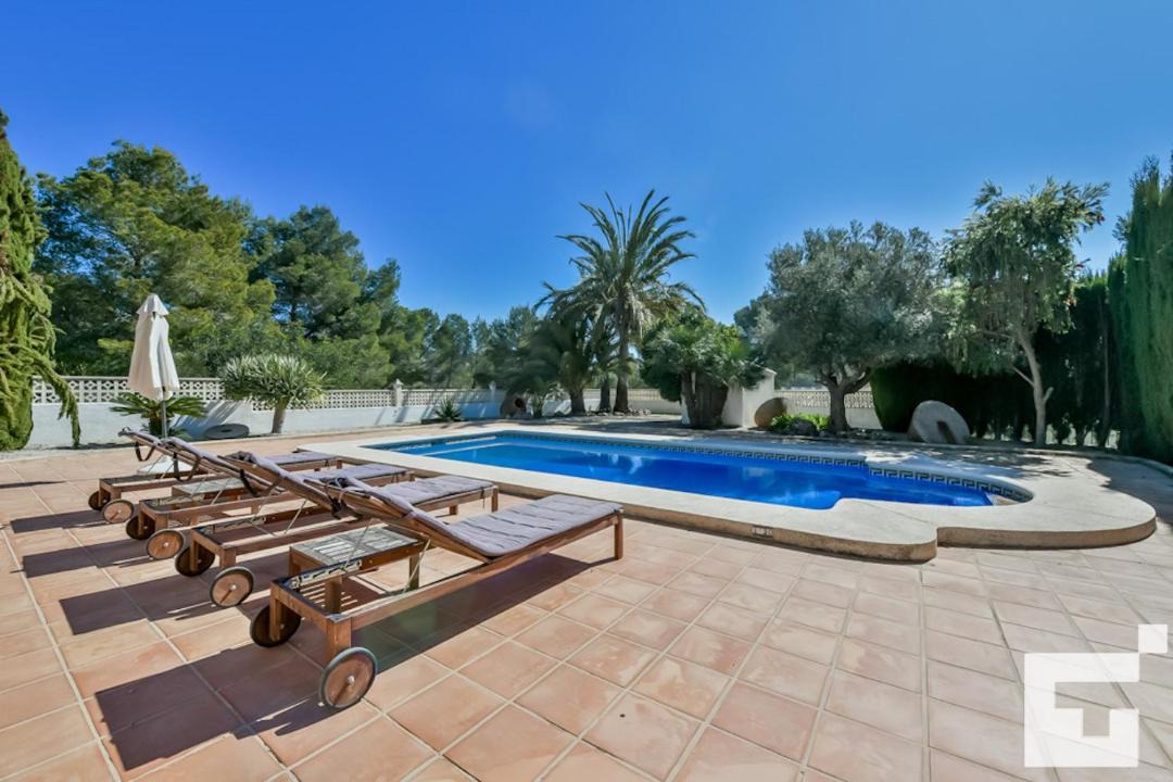 Photo of Others in Calpe