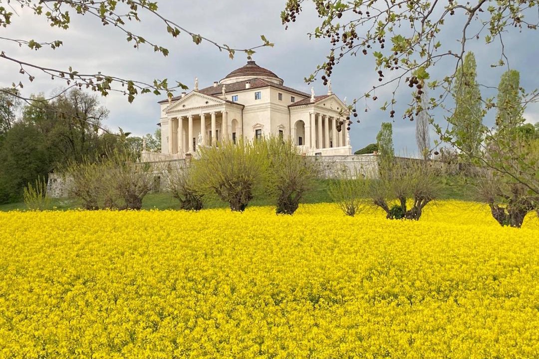 Photo of Buildings in Brogliano