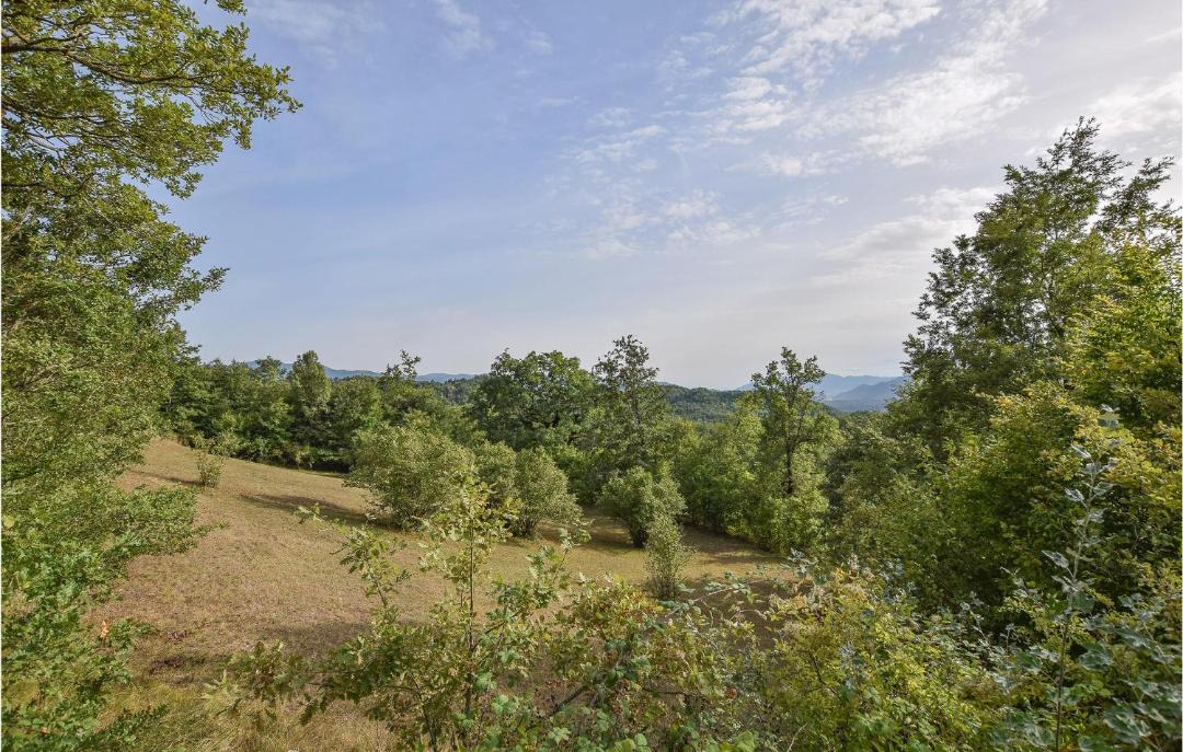 Photo of Outdoor in Nespolo