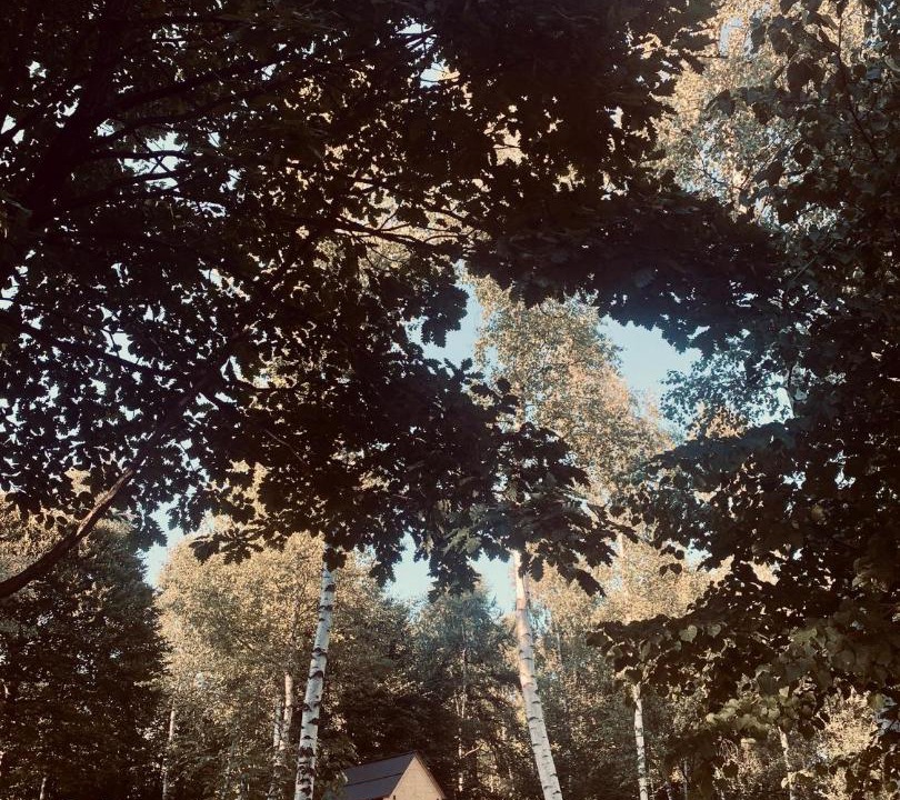 Photo of Others in Valmala