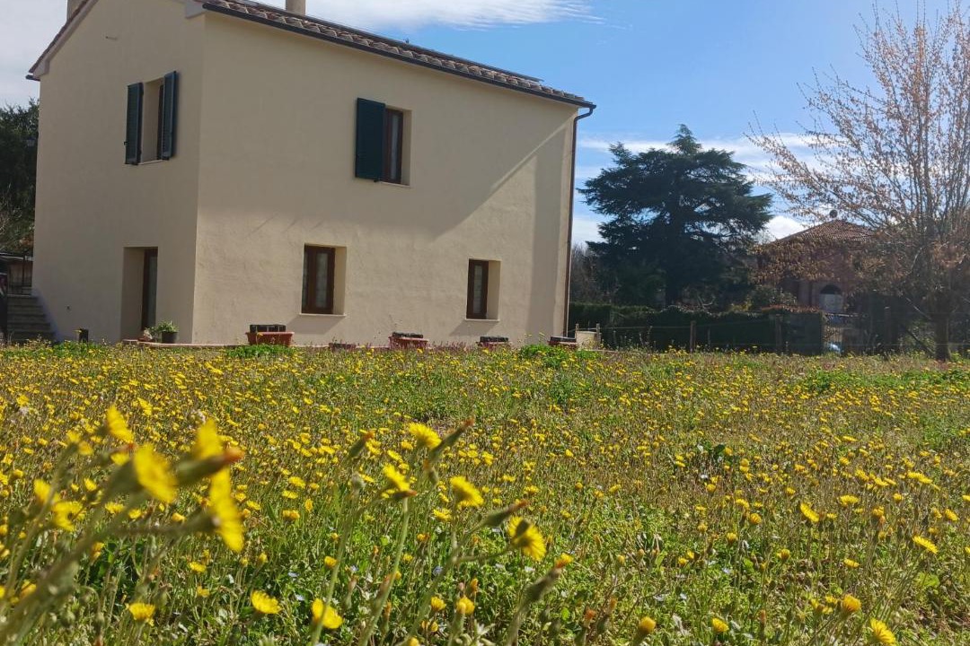 Photo of Others in Monticiano