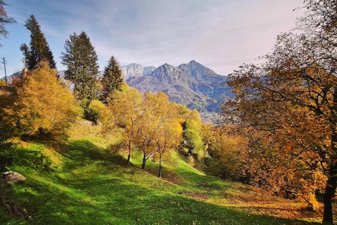 Photo of Outdoor in Osigo