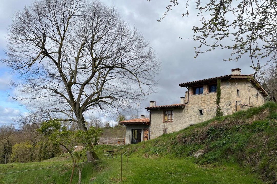 Photo of Buildings in Sant Pere de Torello