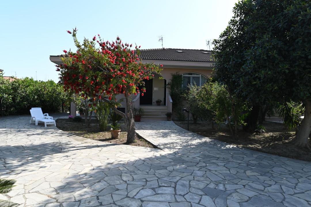 Photo of Others in Lido