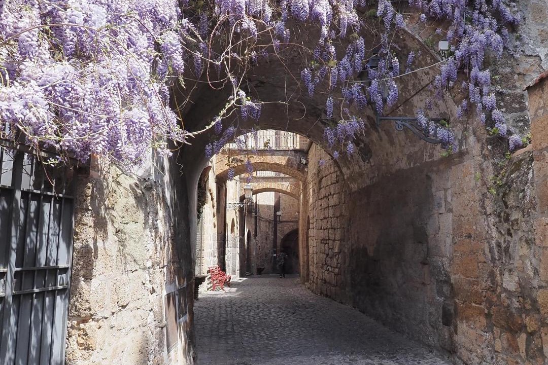 Photo of Buildings in Orvieto