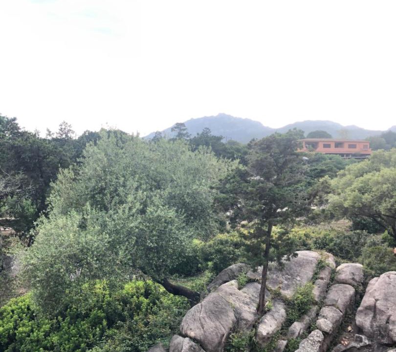Photo of Outdoor in Porto Rotondo
