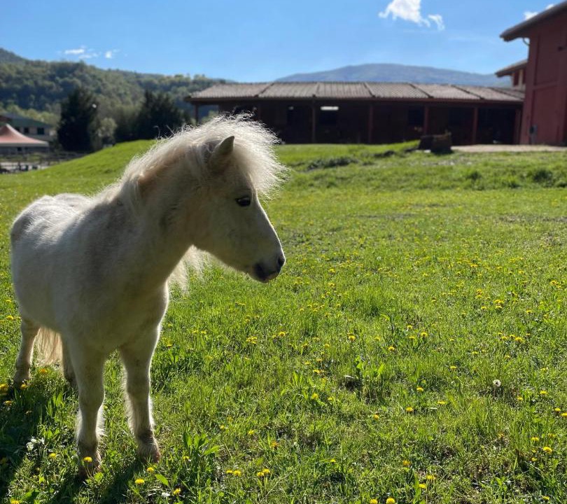 Photo of Outdoor in Cassano Valcuvia