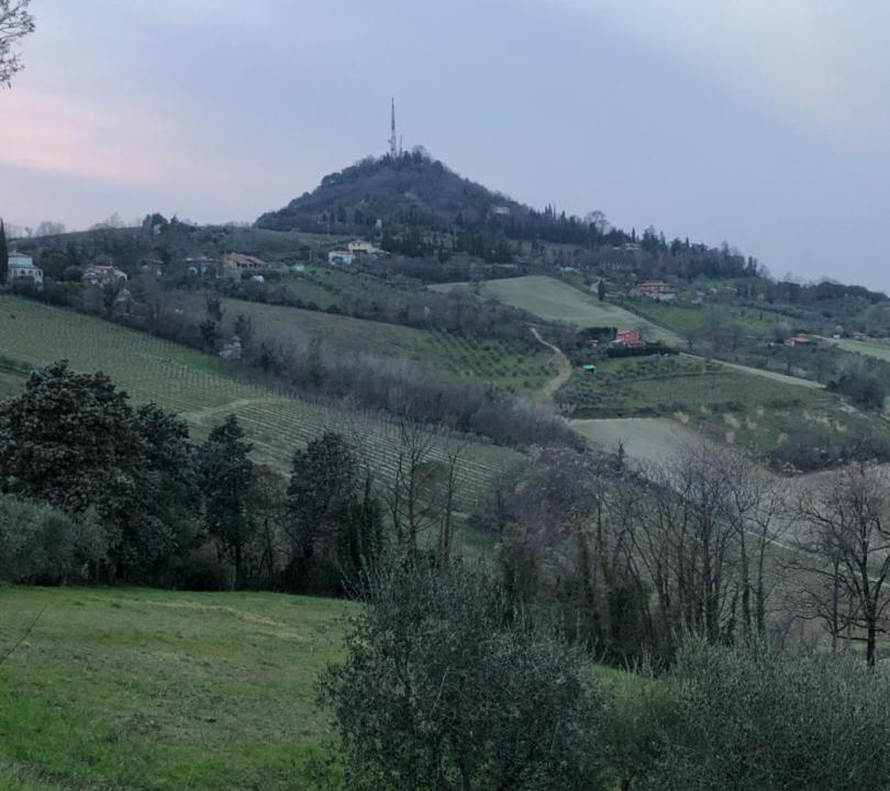 Photo of Others in Bertinoro