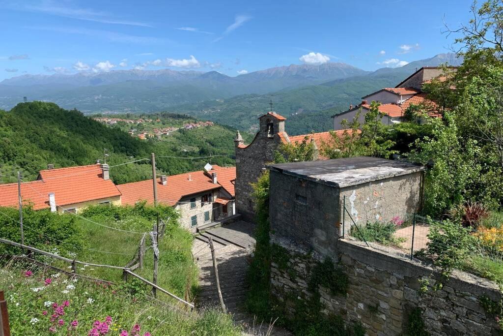 Photo of Others in Maglietola