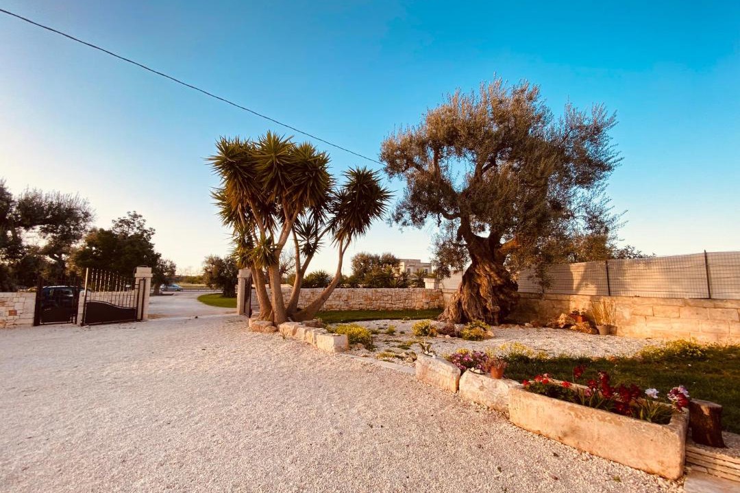 Photo of Others in Monopoli
