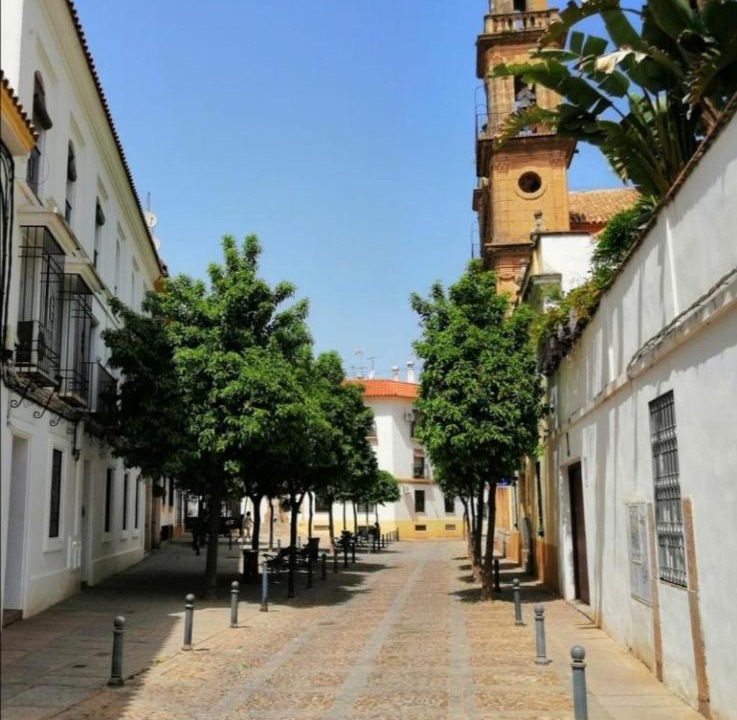 Photo of Buildings in San Lorenzo