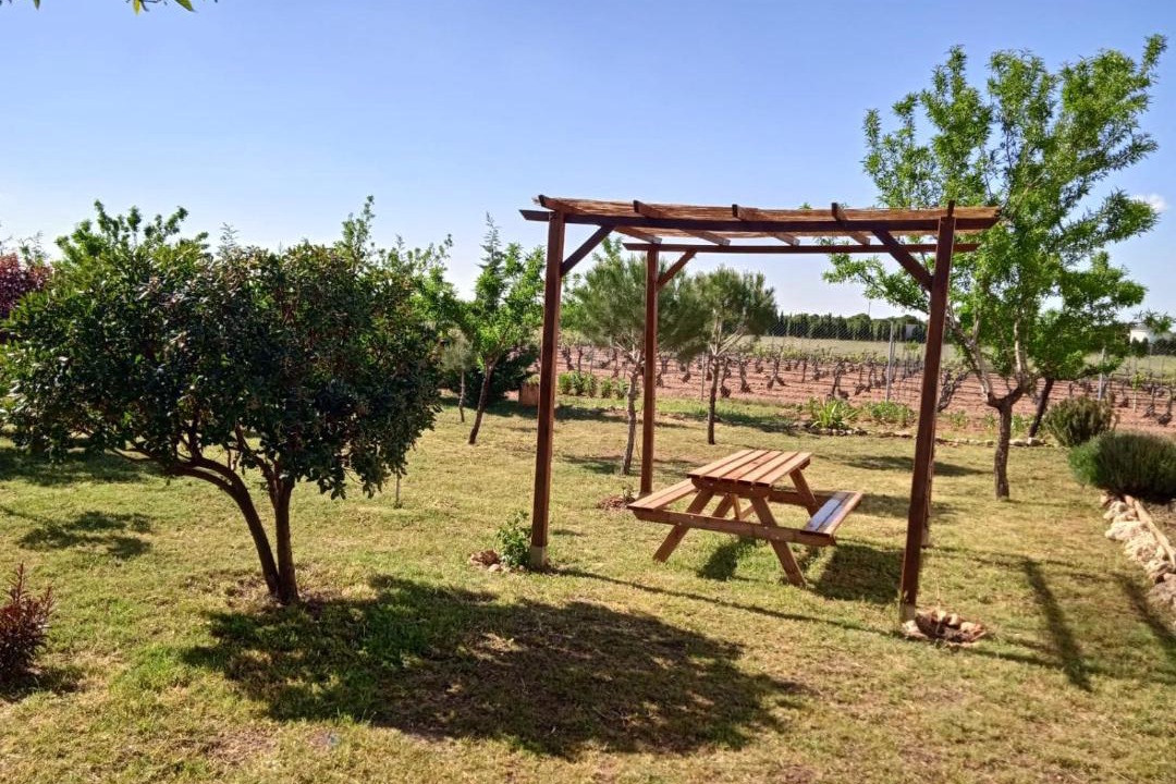 Photo of Outdoor in Socuellamos