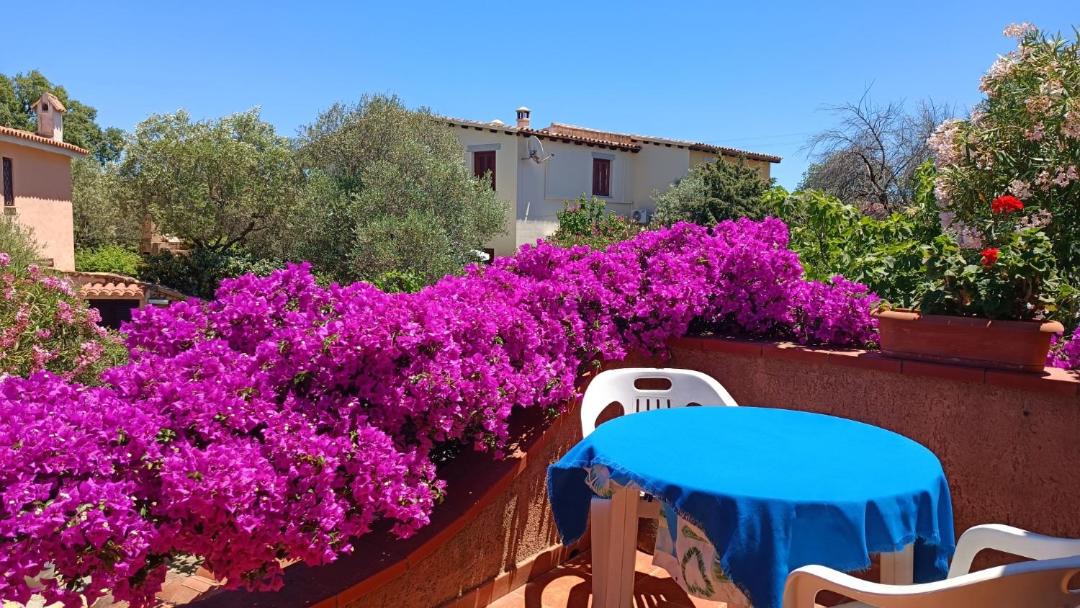Photo of Others in Capo Coda Cavallo