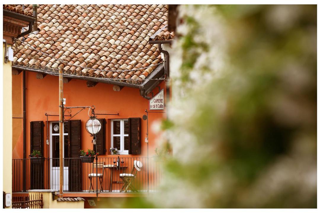 Photo of Others in Serralunga d'Alba