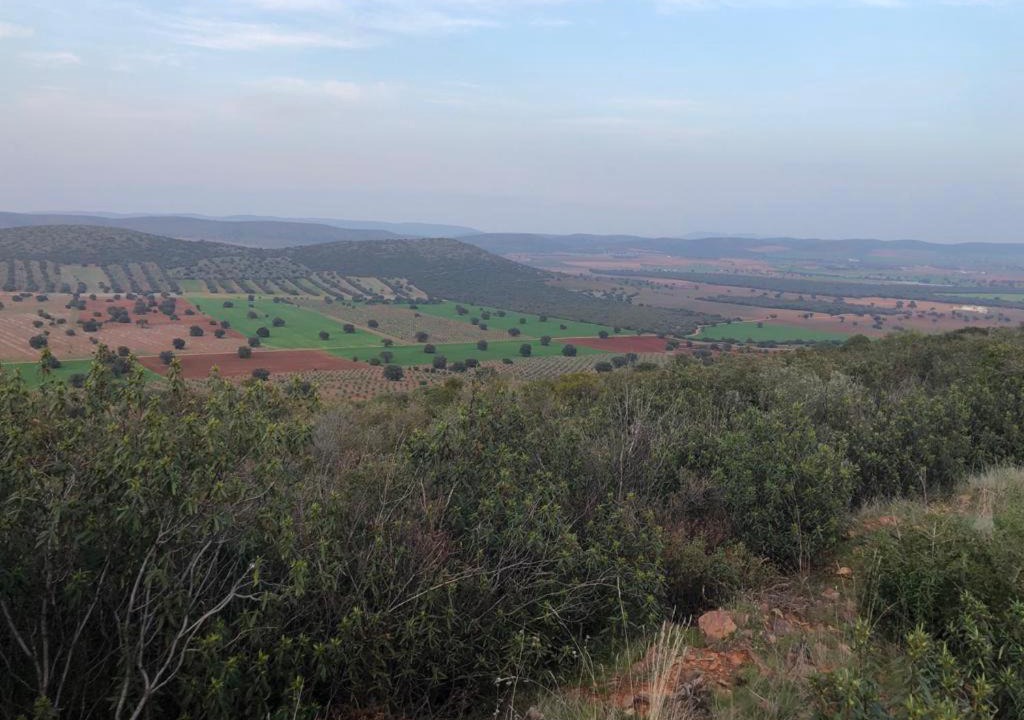 Photo of Outdoor in Almagro