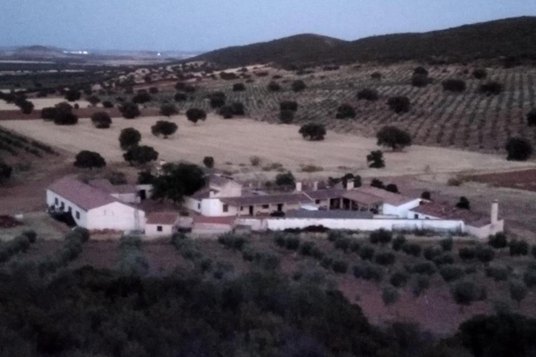 Photo of Others in Almagro