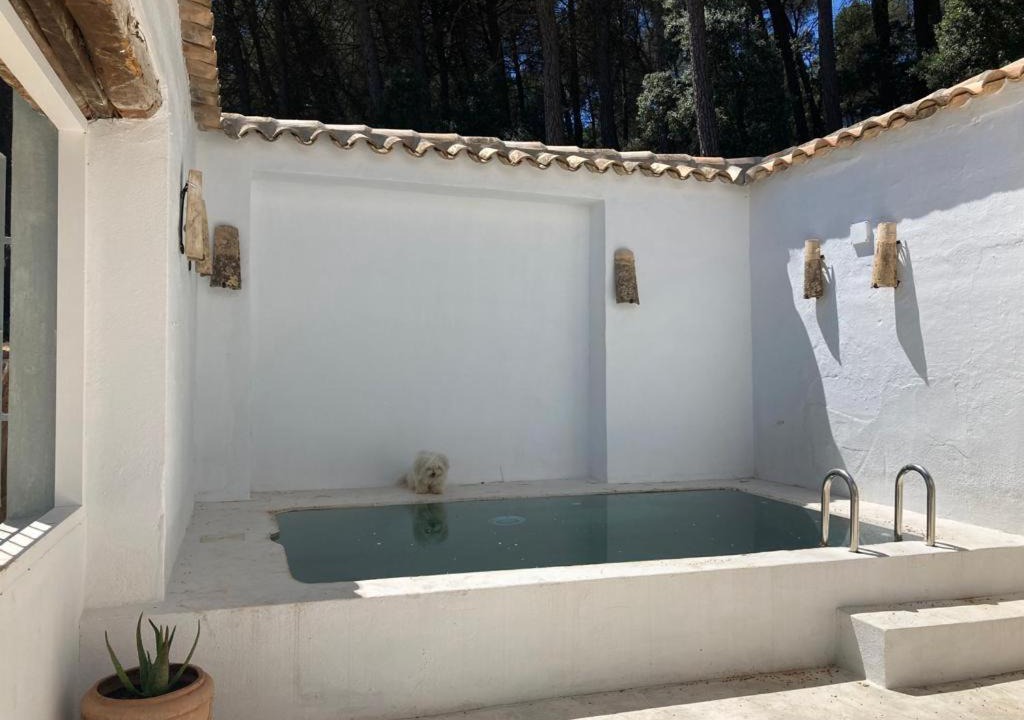 Photo of Others in Casas de Benitez