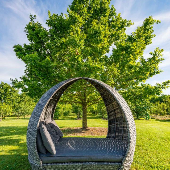 Photo of Outdoor in Castelfranco Emilia