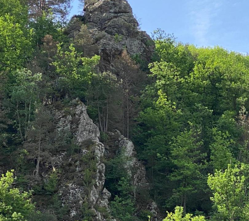 Photo of Outdoor in Ribes De Freser