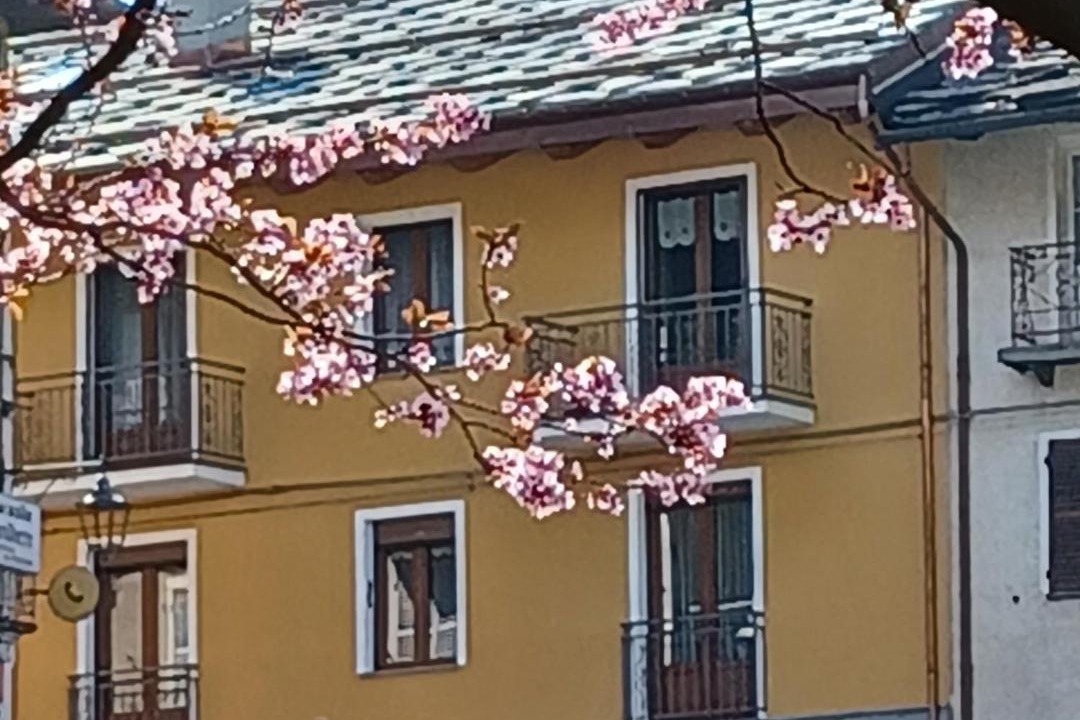 Photo of Others in Salbertrand