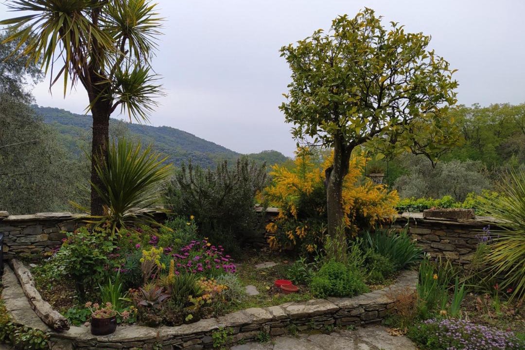 Photo of Outdoor in Casa Carli