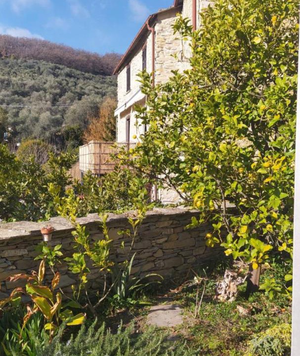 Photo of Buildings in Casa Carli