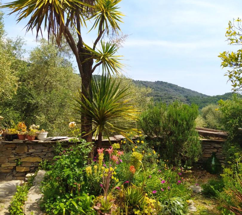 Photo of Outdoor in Casa Carli