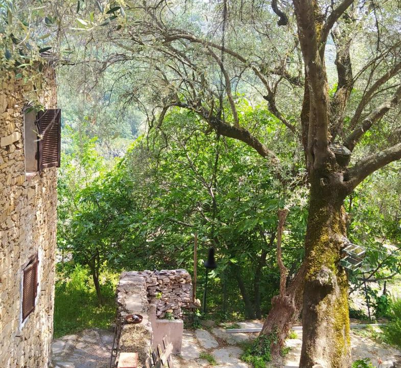 Photo of Others in Casa Carli