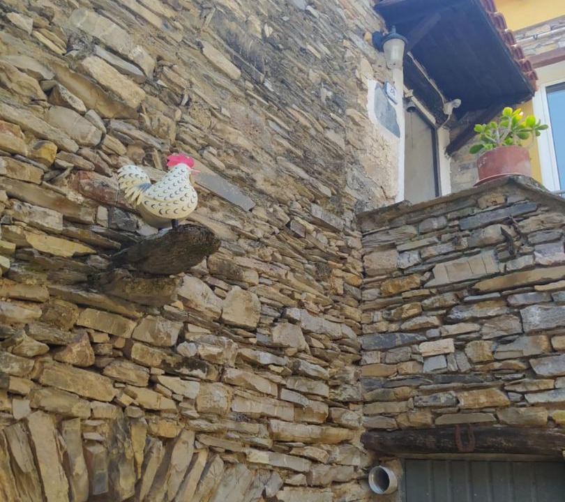 Photo of Others in Casa Carli