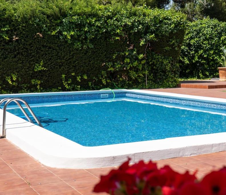 Photo of Outdoor in San Javier