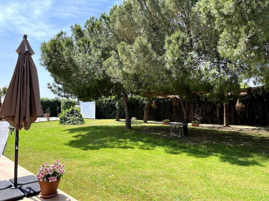Photo of Others in San Javier