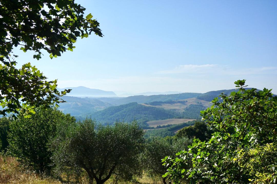 Photo of Outdoor in Acqua Loreto