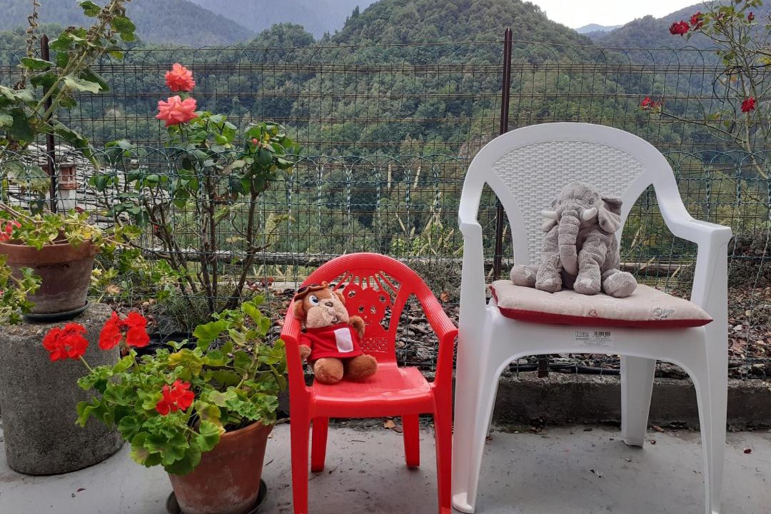 Photo of Patio Balcony in Mezzenile