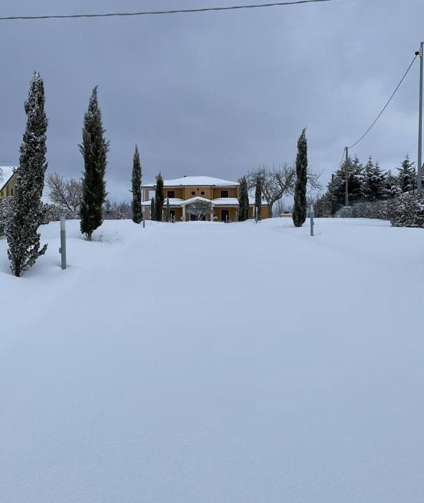 Photo of Outdoor in Oratino