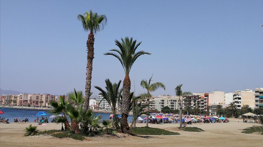 Photo of Others in Aguilas