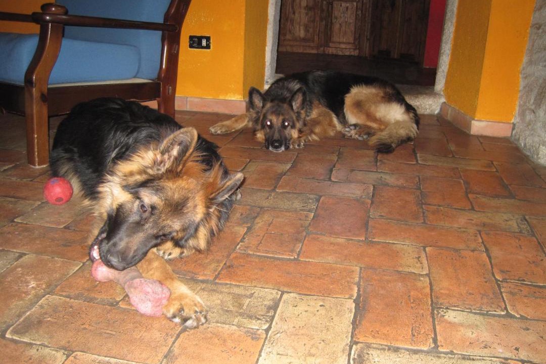 Photo of Others in San Maurizio d'Opaglio