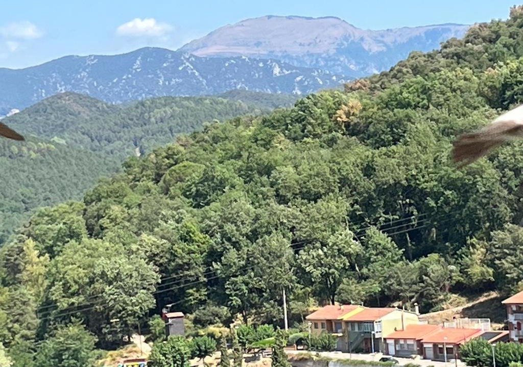 Photo of Outdoor in Castellfollit de la Roca
