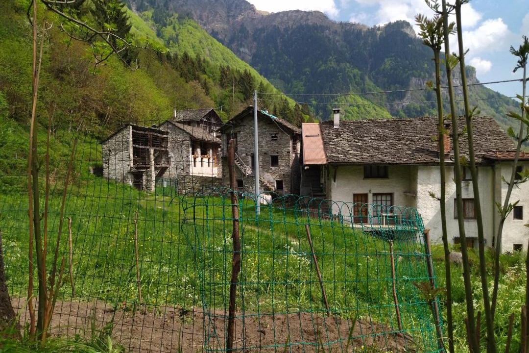 Photo of Buildings in Mollia
